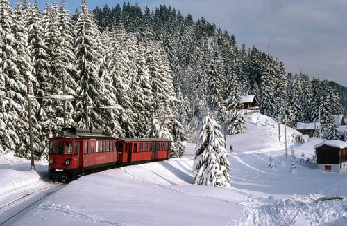 Train in the snow