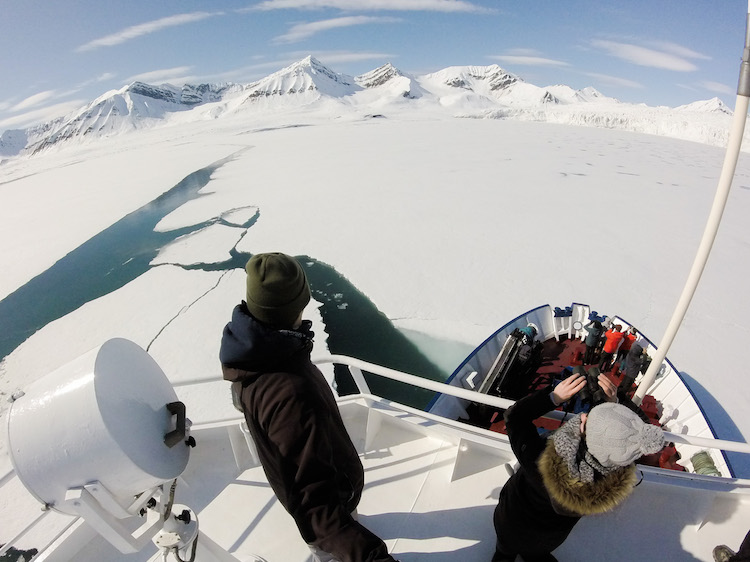 Searching for Svalbard wildlife