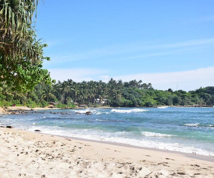 Best Things to Do in South Sri Lanka
