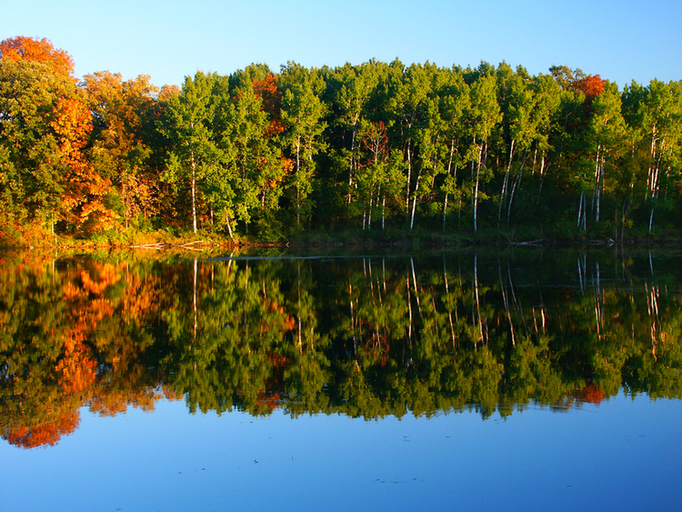 Beautiful,Fall,Colors,Reflect,Off,A,Pond,At,Kettle,Moraine