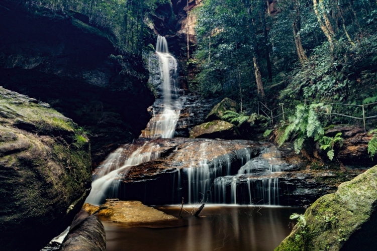 8 Must-Do Things When Traveling in Sydney, Australia