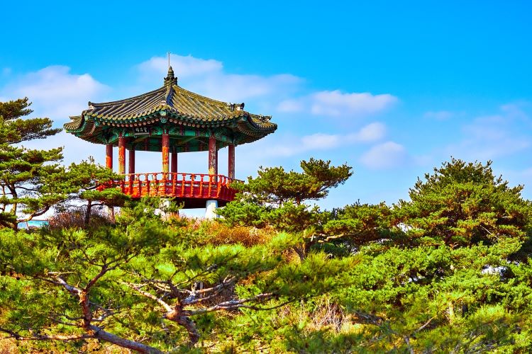 How to prepare to visit South Korea