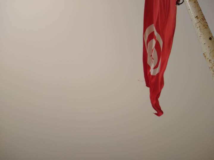Tunisian Flag 