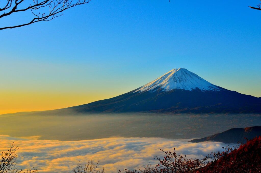 Expat Japan