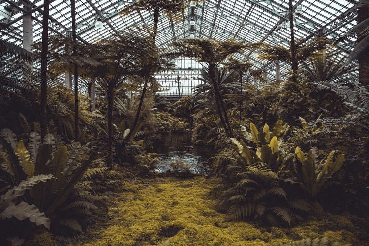 One Thing American Cities Need More of: Botanical Gardens
