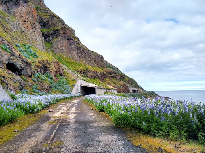 How to Spend 1 Nature-Packed Day in Isafjord, Iceland