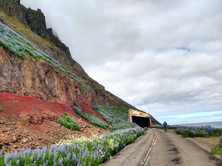 How to Spend 1 Nature-Packed Day in Isafjord, Iceland