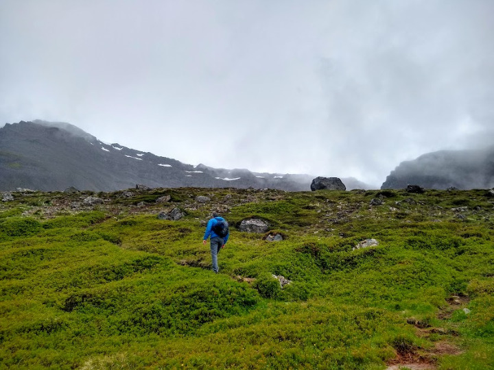 How to Spend 1 Nature-Packed Day in Isafjord, Iceland