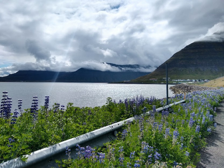 How to Spend 1 Nature-Packed Day in Isafjord, Iceland