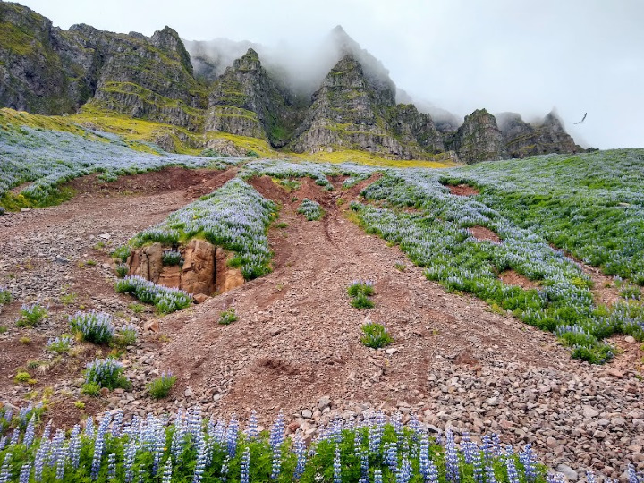 How to Spend 1 Nature-Packed Day in Isafjord, Iceland