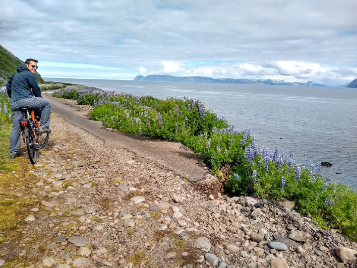 How to Spend 1 Nature-Packed Day in Isafjord, Iceland