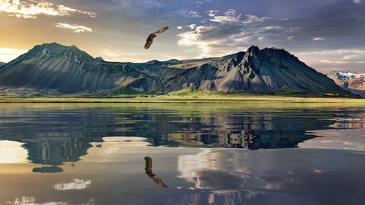 Expat in New Zealand 