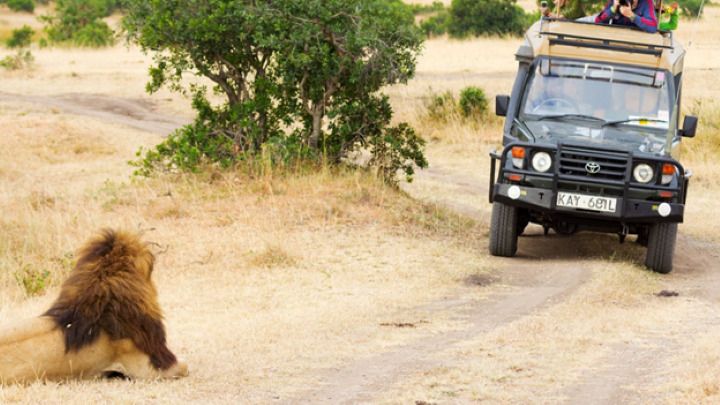 11 Reasons an African Honeymoon Safari is the Ultimate Couple’s Experience 