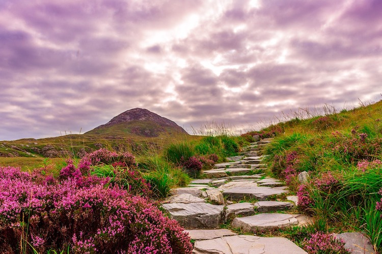 Transfer money to Ireland