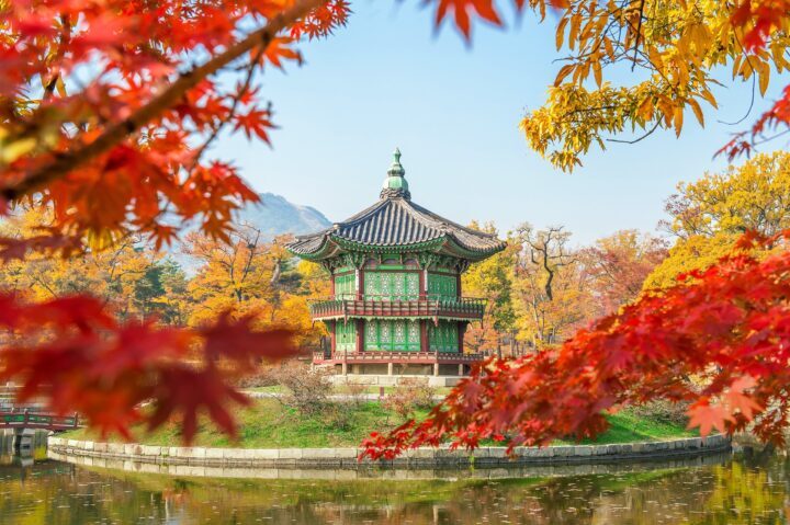 Tours around South Korea