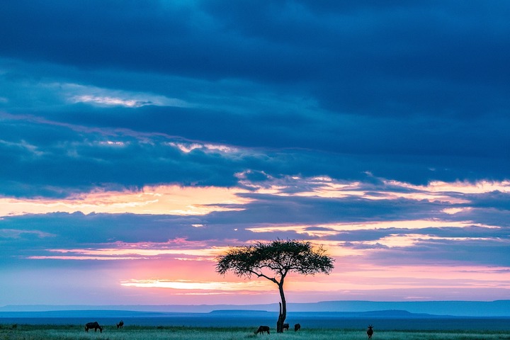 Explore Kenya 