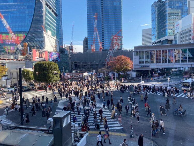 shibuya-crossing-the-navigatio