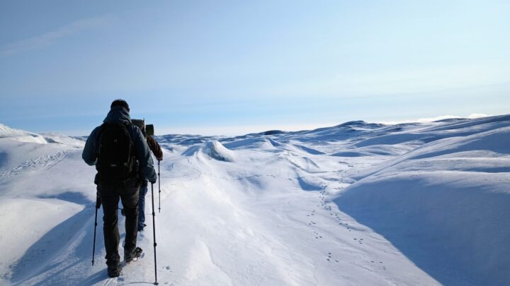 Ilulissat, Greenland