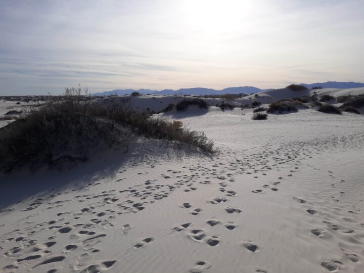 White Sands National Park