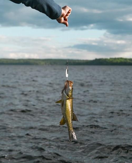 Fishing for Largemouth & Smallmouth Bass