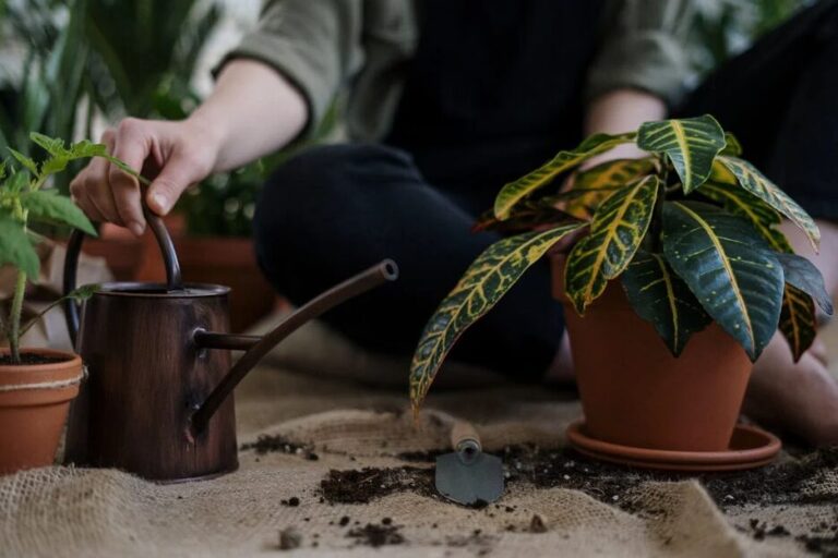 person gardening